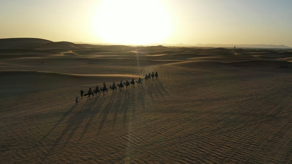 A stunning aerial view of a camel caravan crossing the Moroccan desert at sunset.