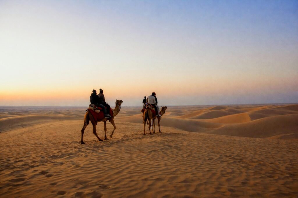 Free stock photo of after the sunset, camel ride, desert safari